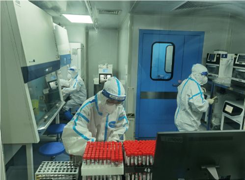 為群眾辦實事 3天檢測核酸41萬份 這群司法鑒定人創造“江門速度”